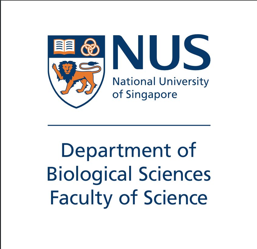 Nus dbs