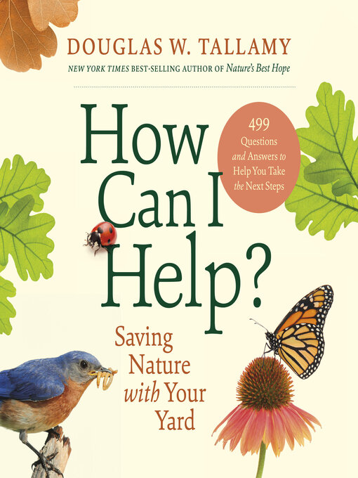 How Can I Help?