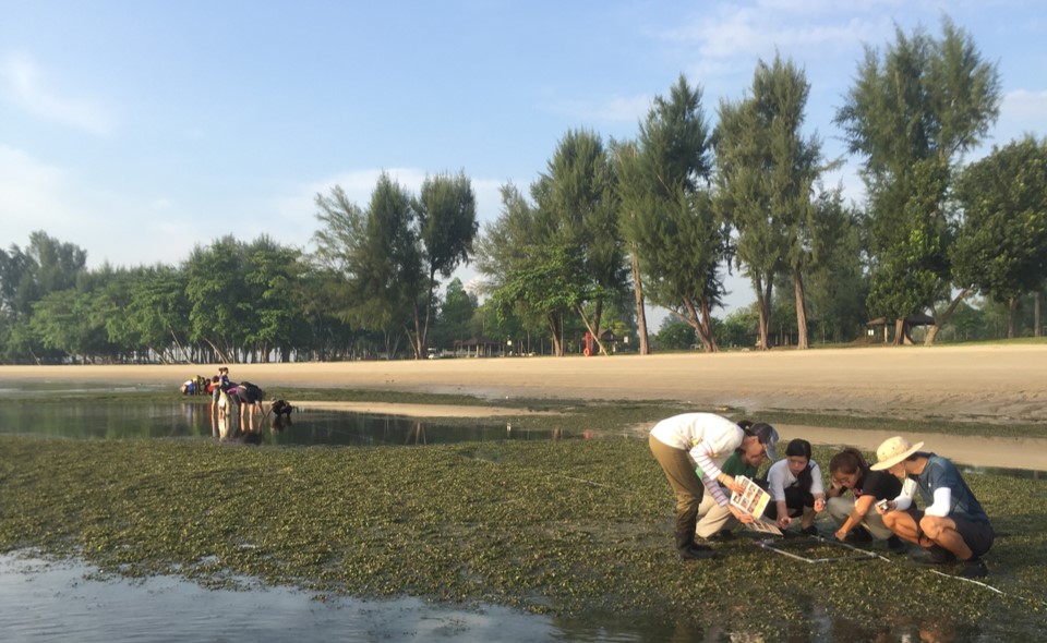 Volunteers at Intertidal Watch